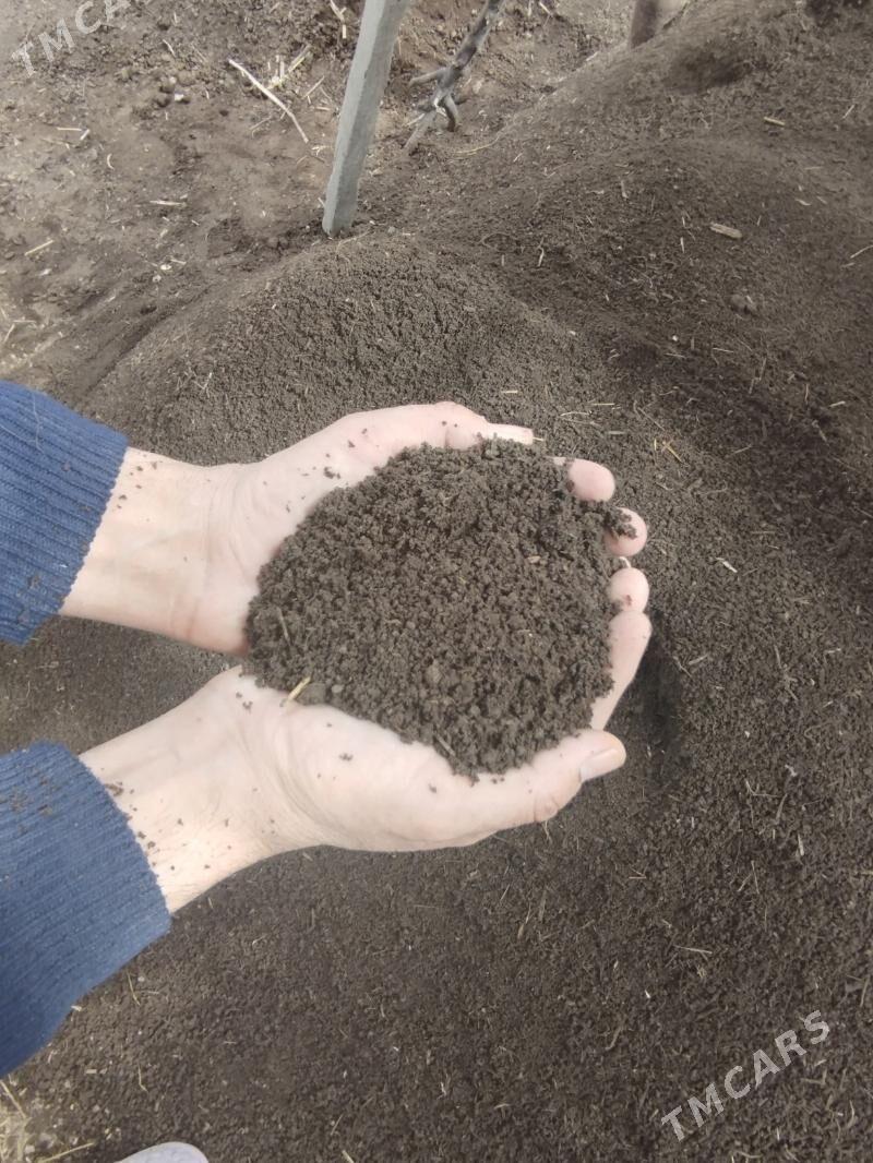 biogumus kalifarneýskiý gurçuk - Daşoguz - img 3