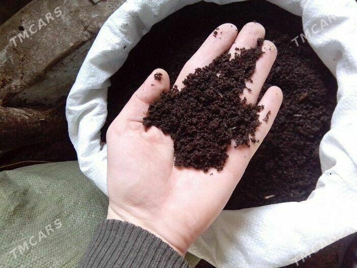 biogumus kalifarneýskiý gurçuk - Daşoguz - img 1