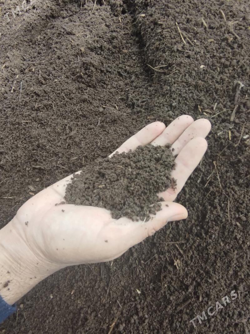 biogumus kalifarneýskiý gurçuk - Daşoguz - img 4