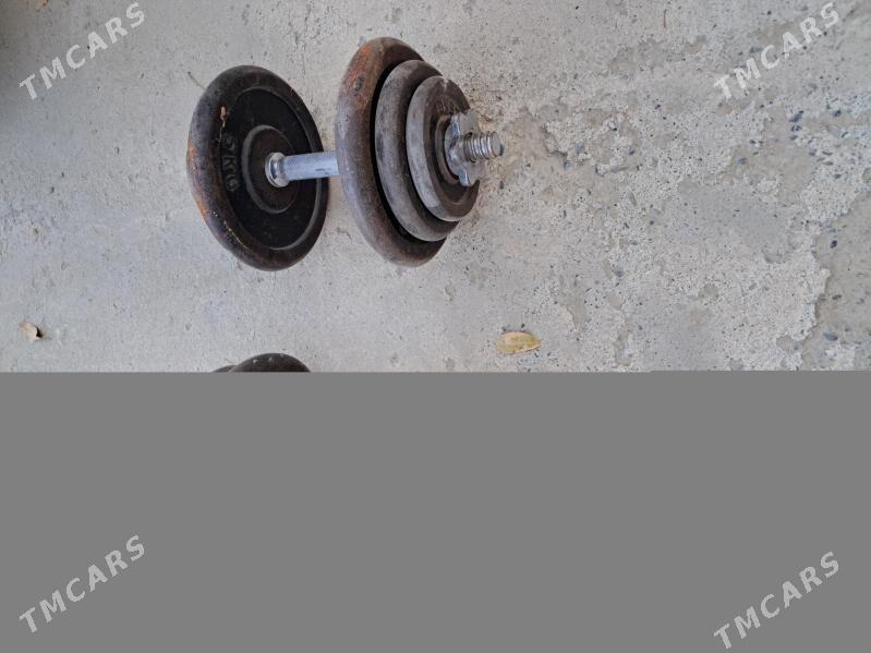 Trenazor döş islenyan - Гёкдепе - img 3