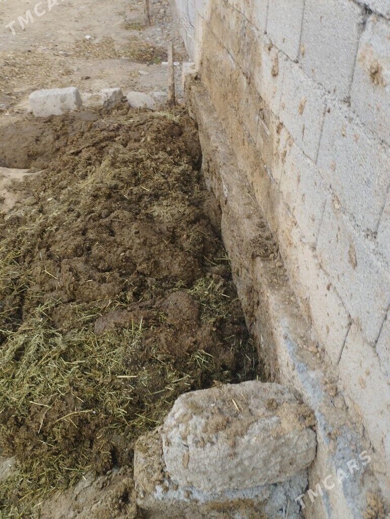 ders - Ак-Бугдайский этрап - img 1