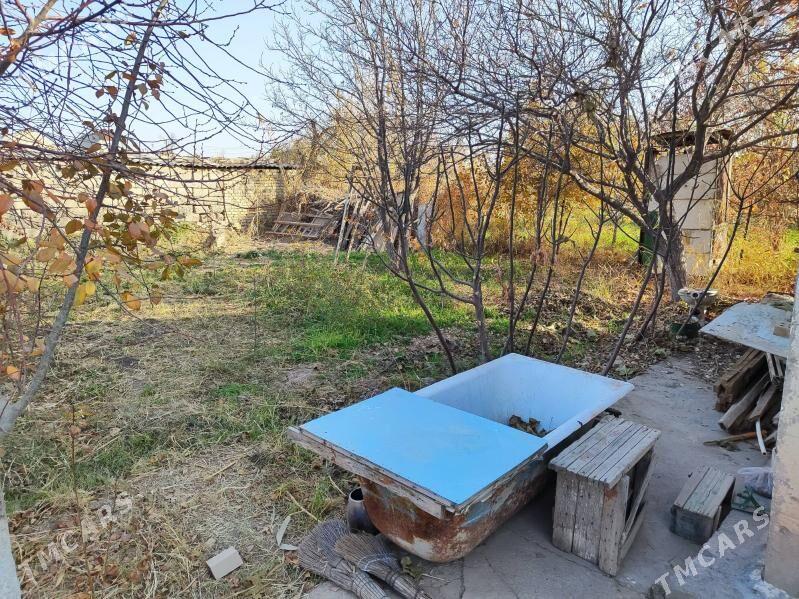 Daça Gress Meçurin - Мары - img 6