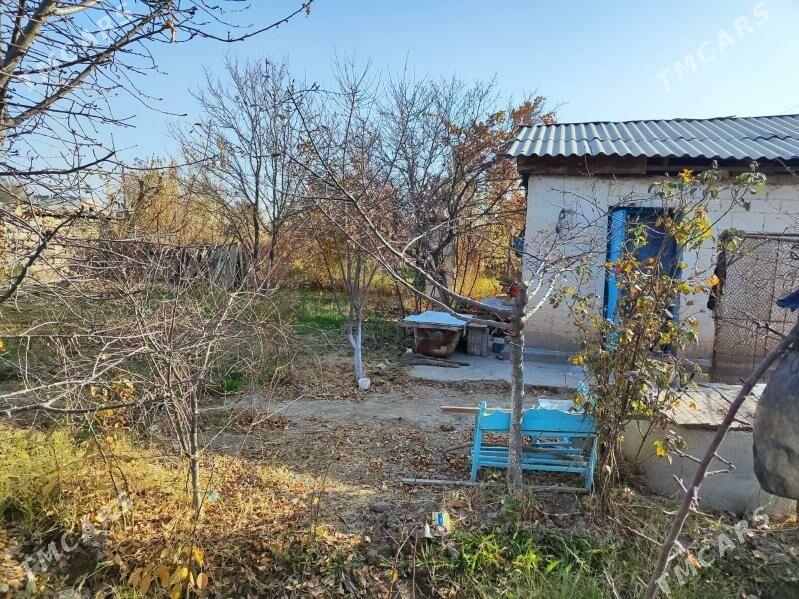 Daça Gress Meçurin - Мары - img 3