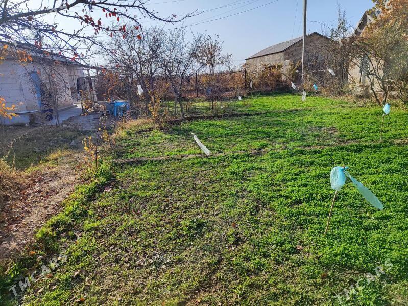 Daça Gress Meçurin - Мары - img 4