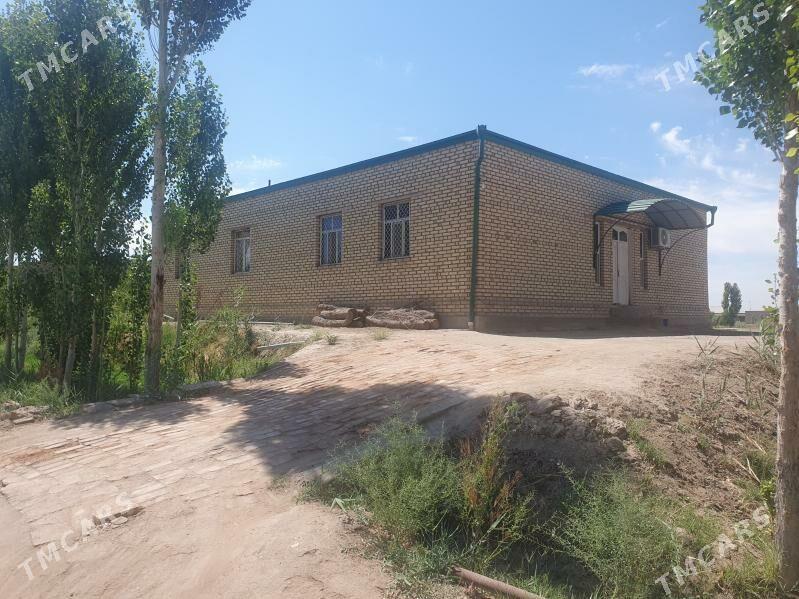 Jay Satylyar  - Гороглы (Тагта) - img 2