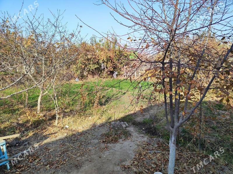 Daça Gress Meçurin - Мары - img 5