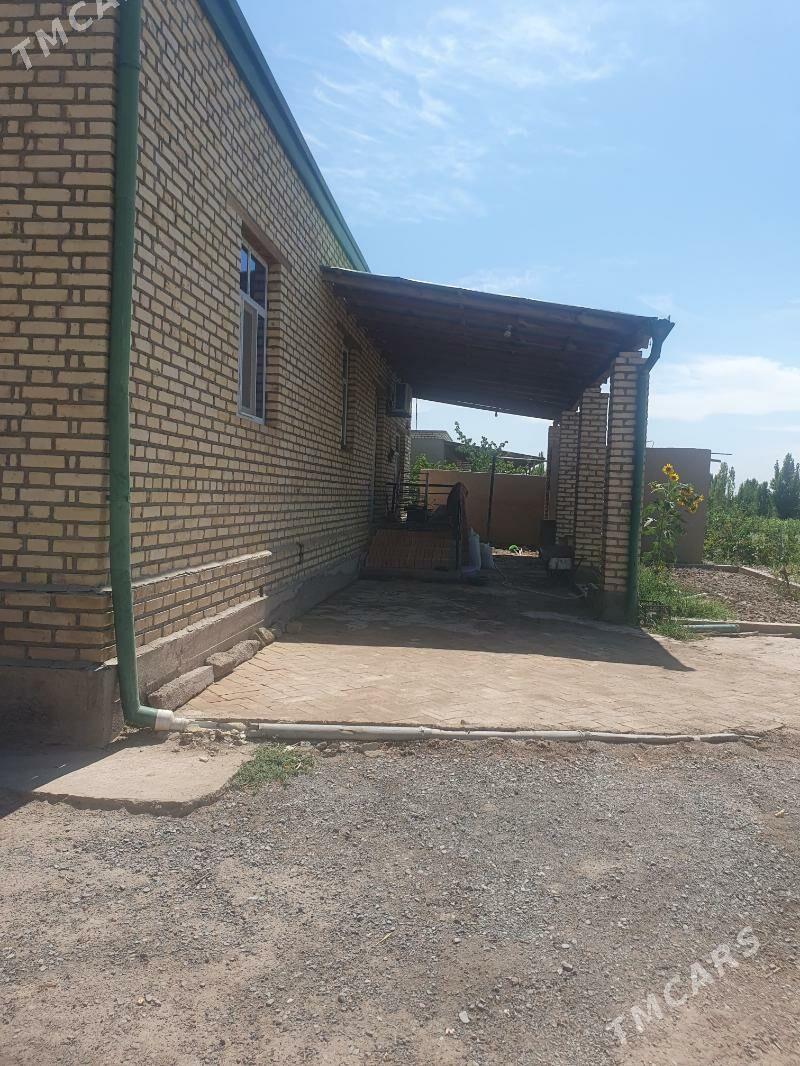 Jay Satylyar  - Гороглы (Тагта) - img 3