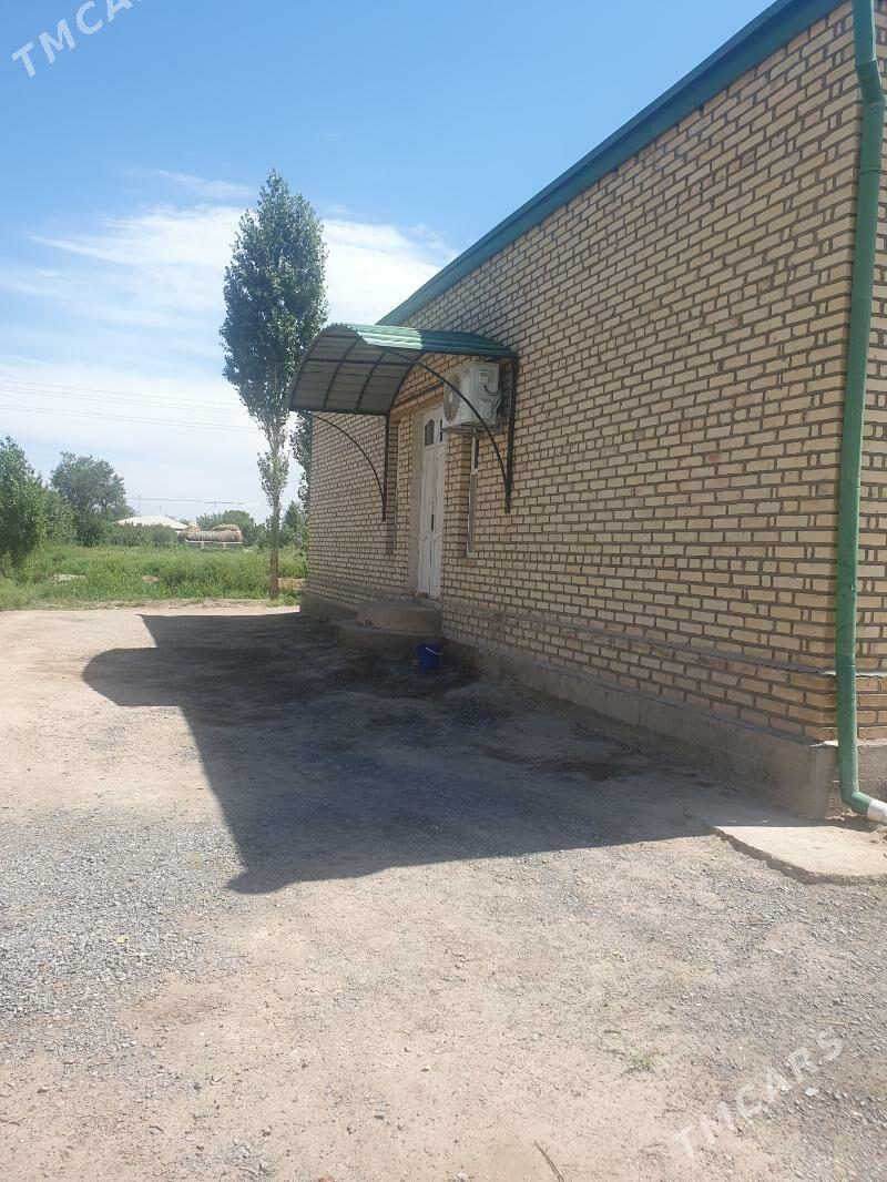 Jay Satylyar  - Гороглы (Тагта) - img 4