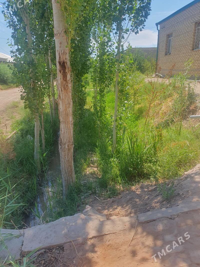 Jay Satylyar  - Гороглы (Тагта) - img 6