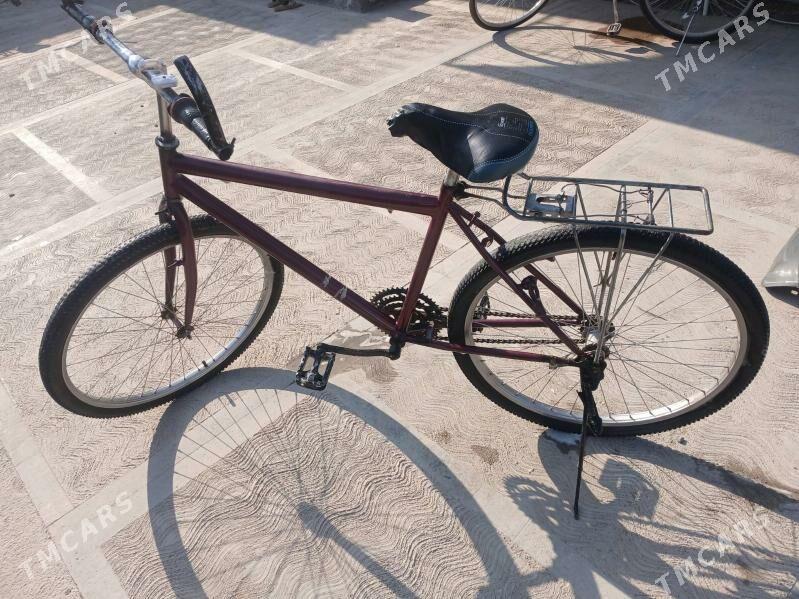 tigir - Tejen - img 3