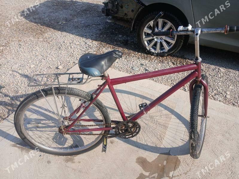 tigir - Tejen - img 2