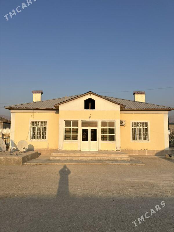 Ammatly jay - Balkanabat - img 2