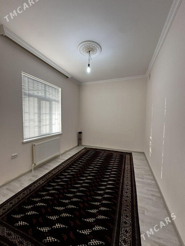 Ammatly jay - Balkanabat - img 5