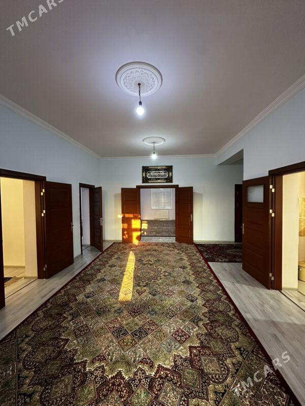 Ammatly jay - Balkanabat - img 4