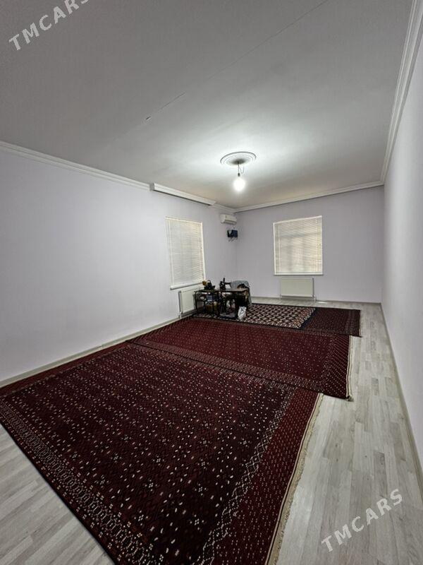 Ammatly jay - Balkanabat - img 6