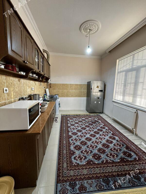 Ammatly jay - Balkanabat - img 9