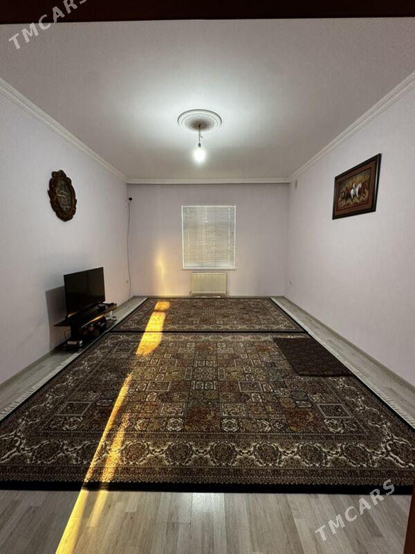 Ammatly jay - Balkanabat - img 7