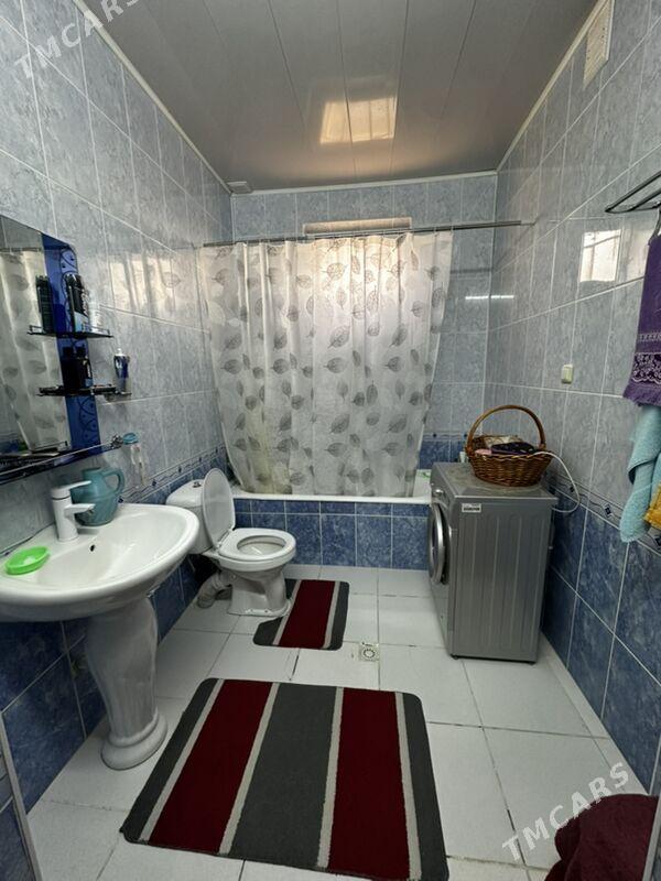 Ammatly jay - Balkanabat - img 8