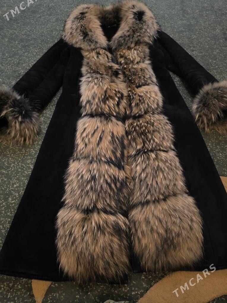 Dublonka - Багир - img 2