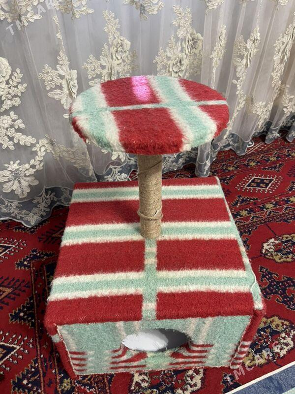 Pisik ucin yasatdym öýi - Ашхабад - img 2