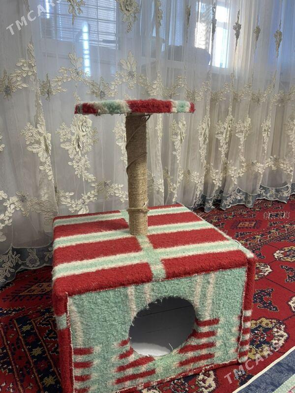 Pisik ucin yasatdym öýi - Ашхабад - img 3