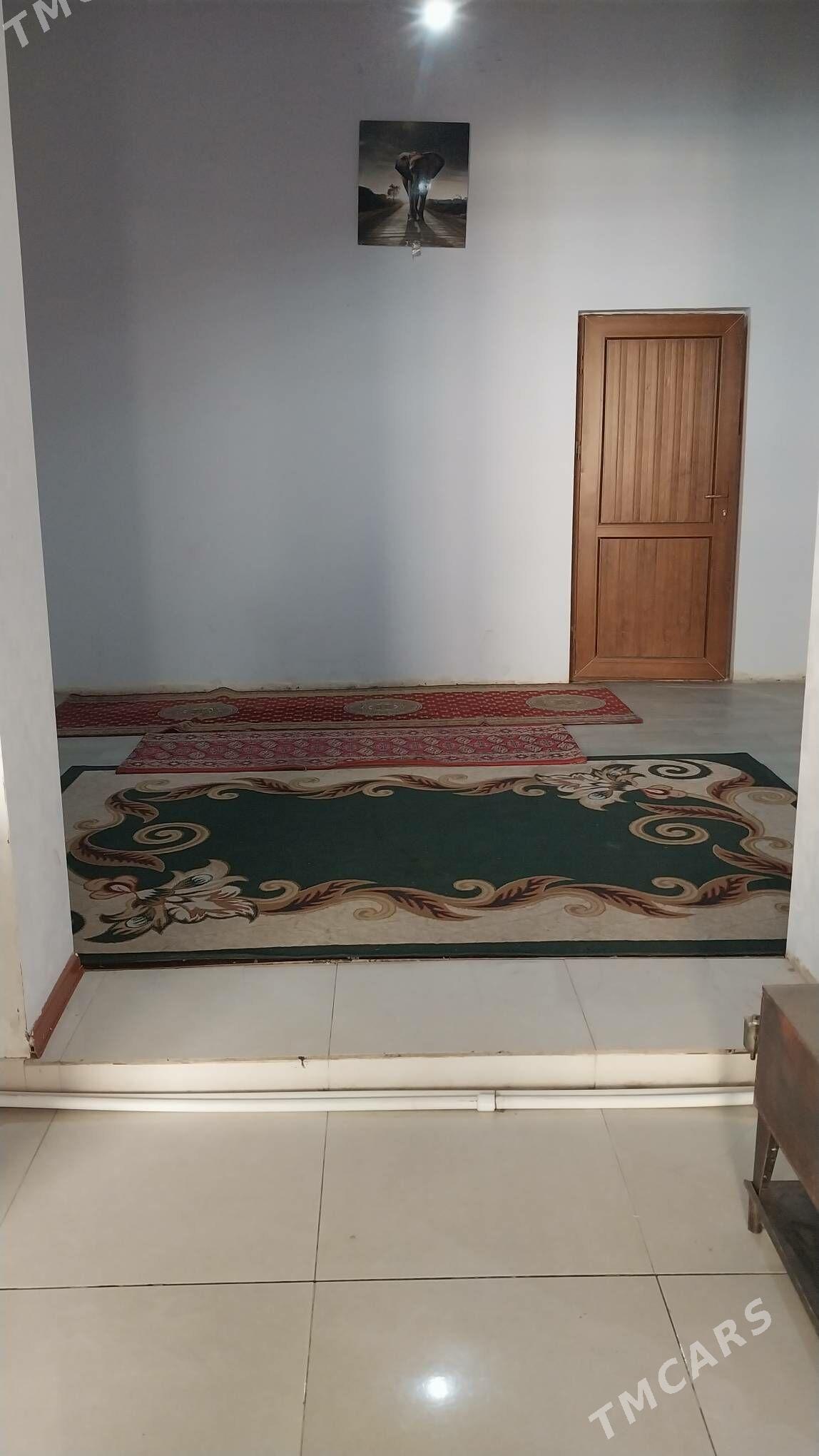 Kreyna jay - Mary - img 7