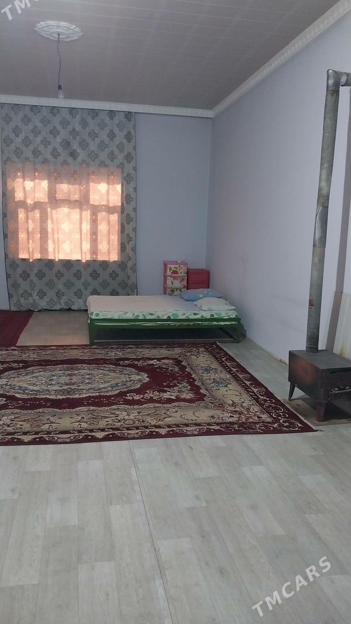 Kreyna jay - Mary - img 3