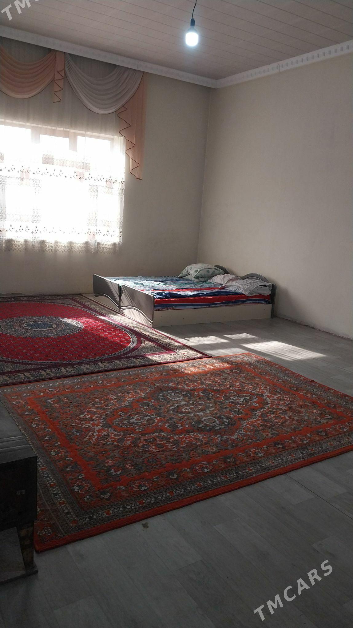 Kreyna jay - Mary - img 2