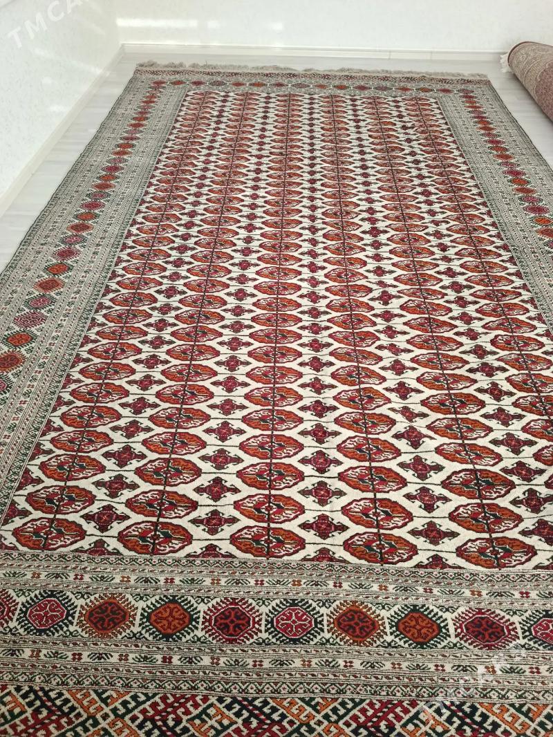 El haly - Ашхабад - img 1