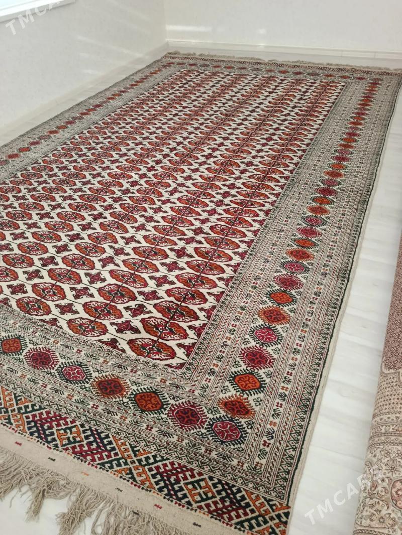 El haly - Ашхабад - img 2