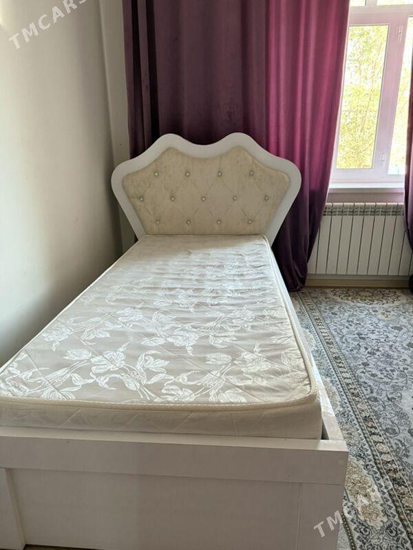 krawat - Aşgabat - img 1