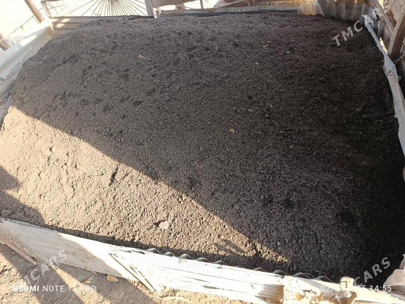 gumus - Туркменабат - img 1