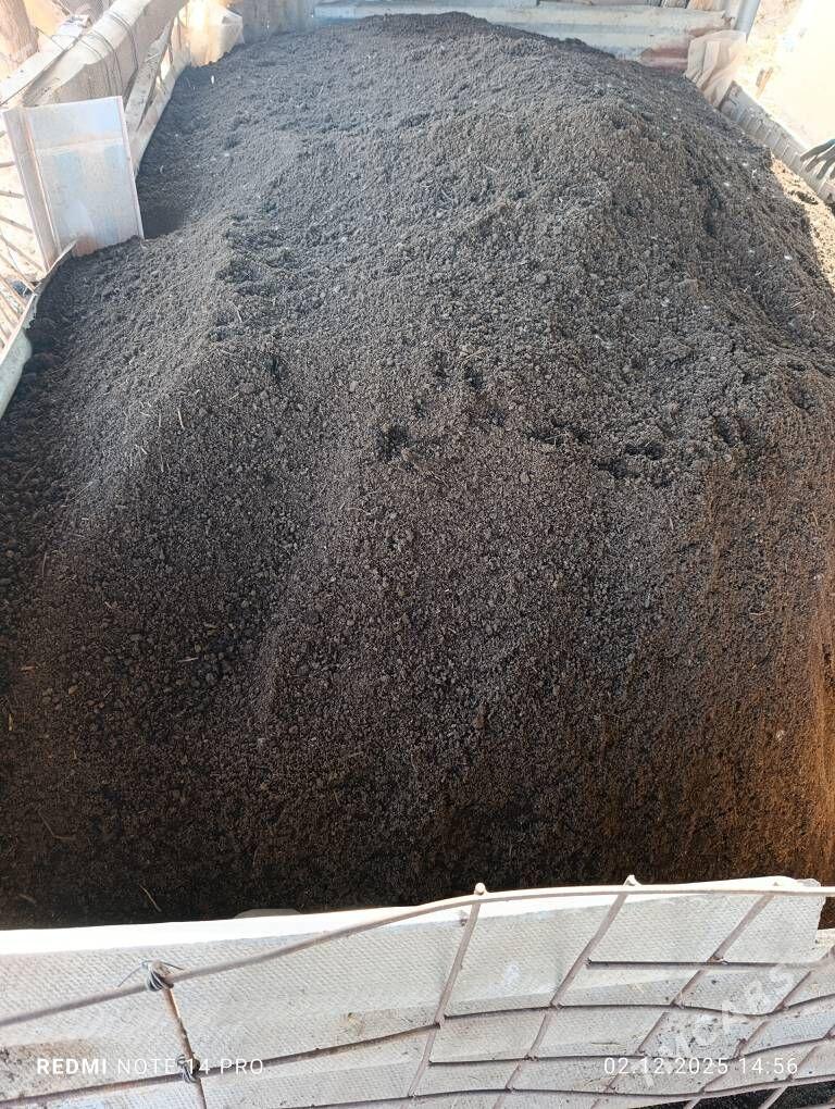 gumus - Туркменабат - img 2