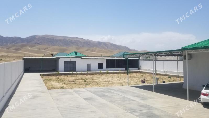 Bereketli zaman gawers - Ак-Бугдайский этрап - img 8