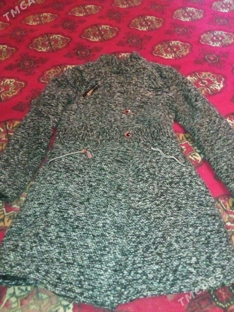 palta arasa - Daşoguz - img 1