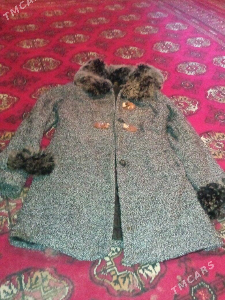 palta arasa - Daşoguz - img 2