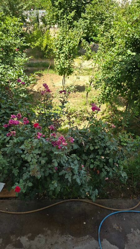 Gowdan A 3 komnat 1 etaz - Aşgabat - img 5