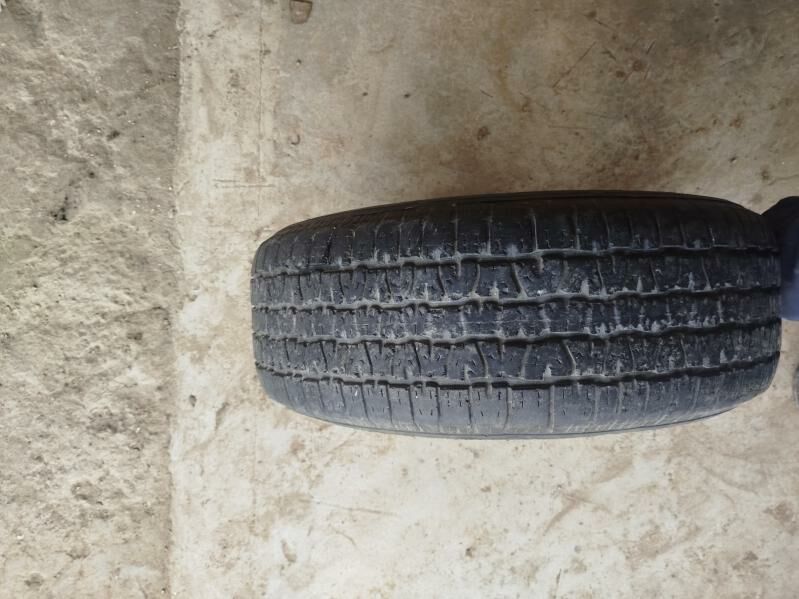 Teker 600 TMT - Эсенгулы - img 2