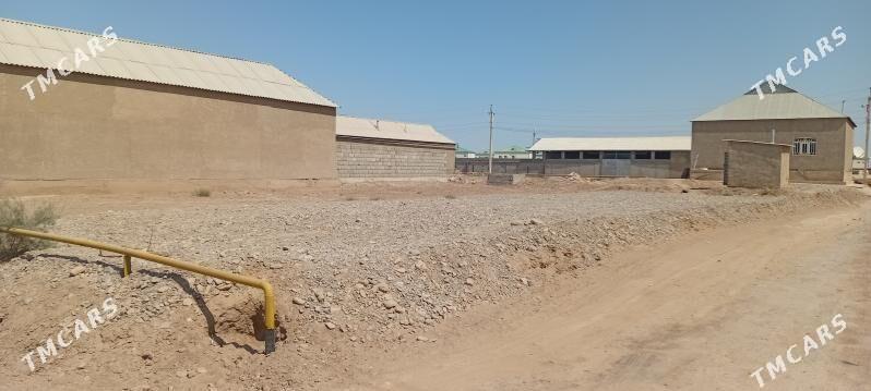 Mellek yer - Tejen - img 5