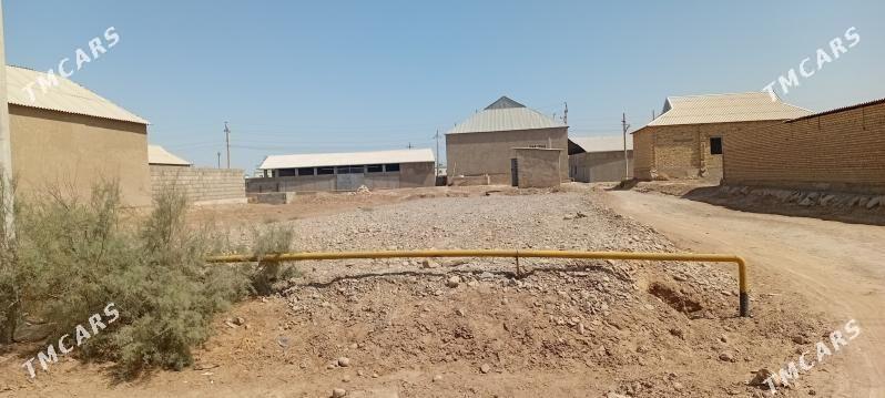 Mellek yer - Tejen - img 8