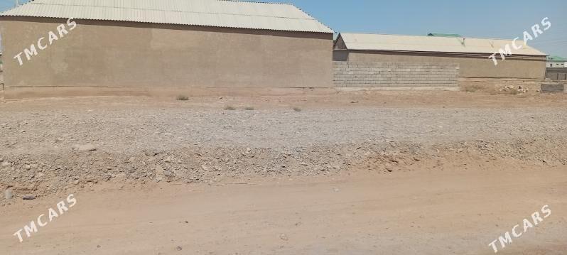 Mellek yer - Tejen - img 4