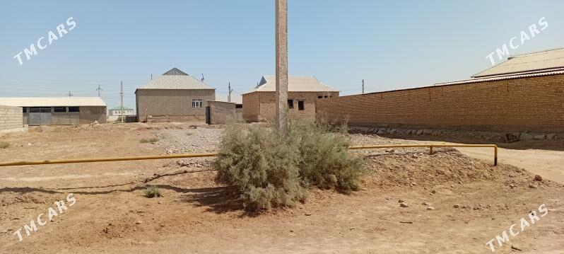 Mellek yer - Tejen - img 6