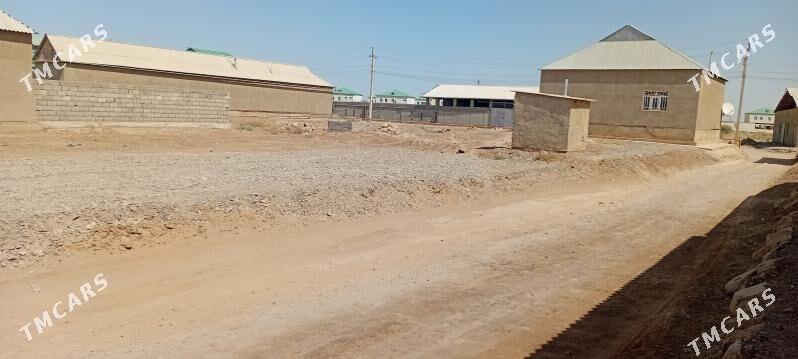 Mellek yer - Tejen - img 1