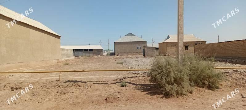 Mellek yer - Tejen - img 7