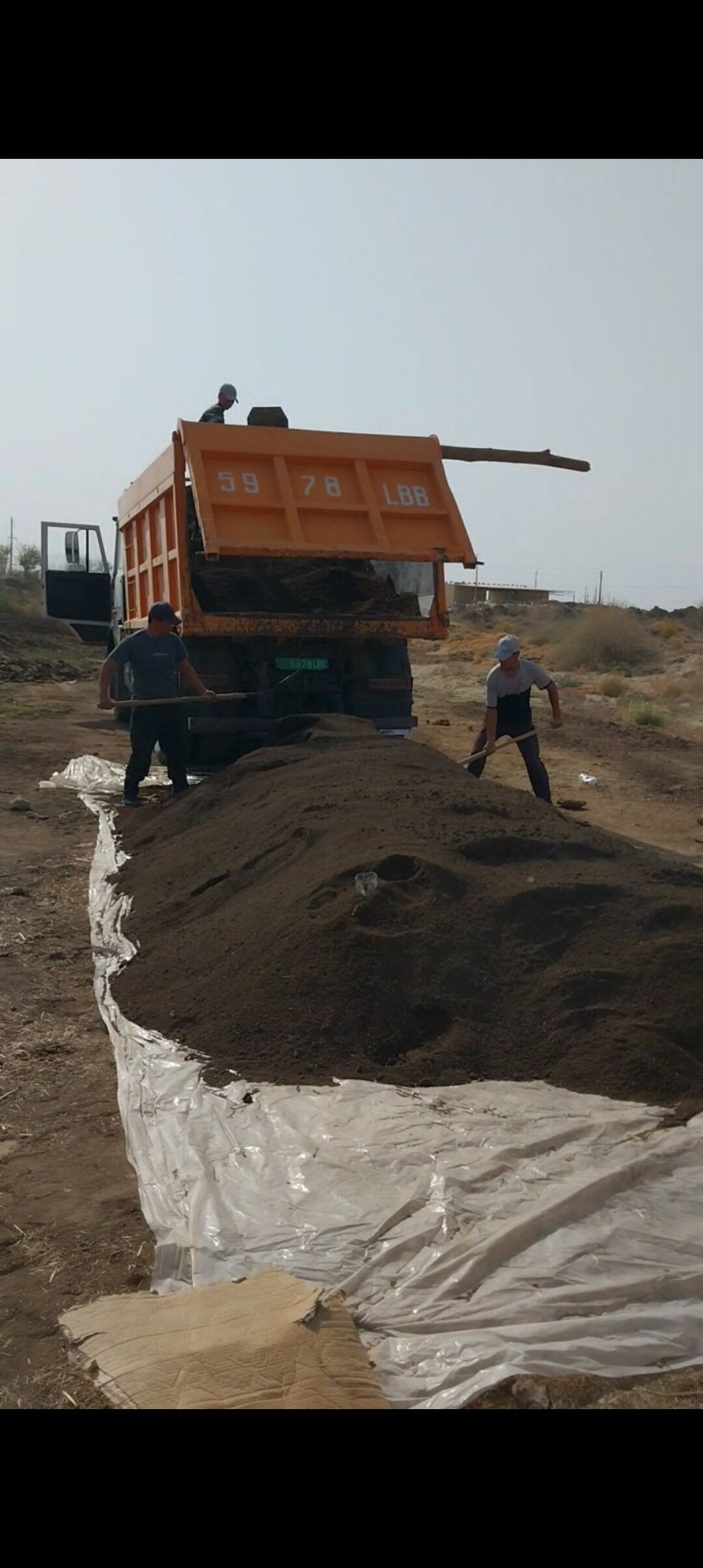 Biogumus - Daşoguz - img 6