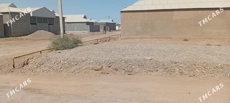 Mellek yer - Tejen - img 3