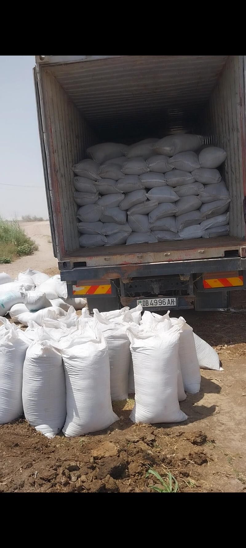 Biogumus - Daşoguz - img 4