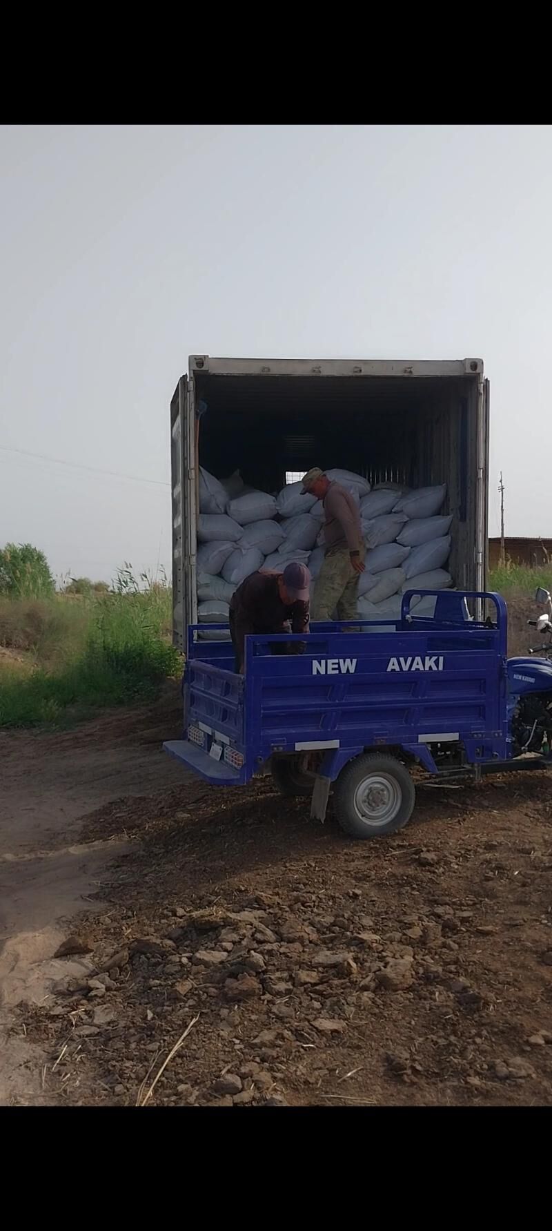 Biogumus - Daşoguz - img 3