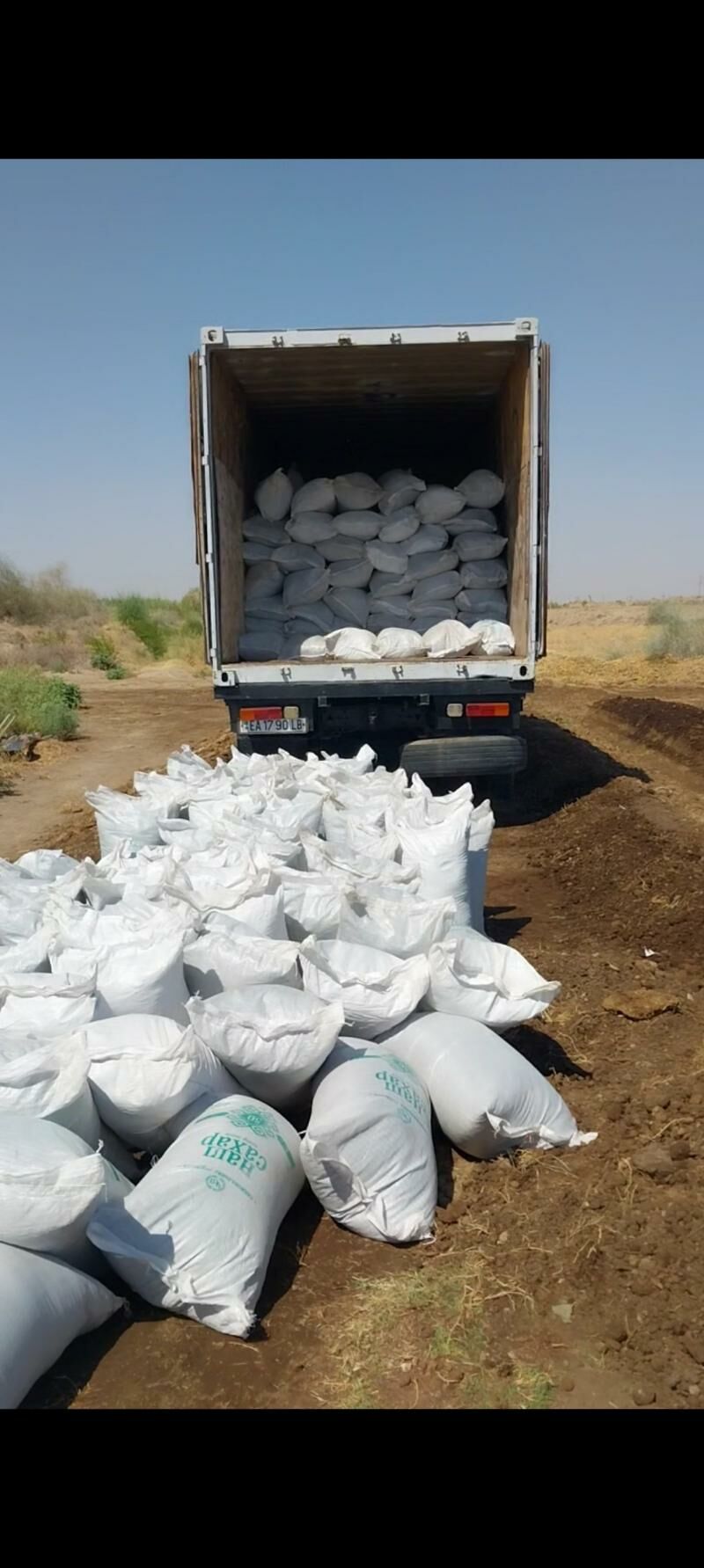 Biogumus - Daşoguz - img 7