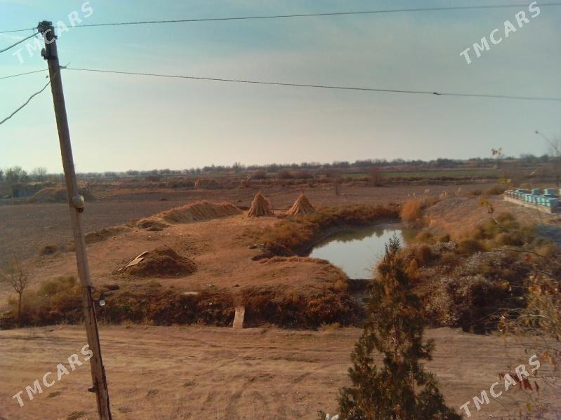 ucacaska yer - Гороглы (Тагта) - img 5